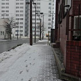 母の命日は雪の画像