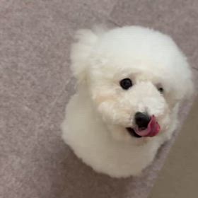 今日のニコ♪動画の画像