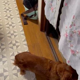 やっと…の画像