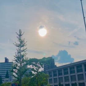 お分かりいただけただろうかの画像