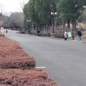 2/17 リレー選考会⑤の画像