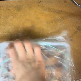 石狩　シャコの画像