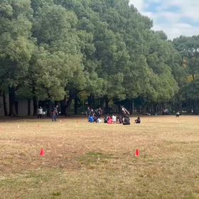 ４色リレー⑤の画像