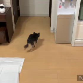 ちょっと不安なのでしょうか。の画像