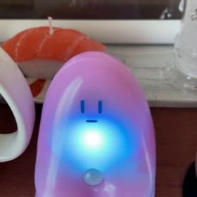 今朝のWARASHIの画像