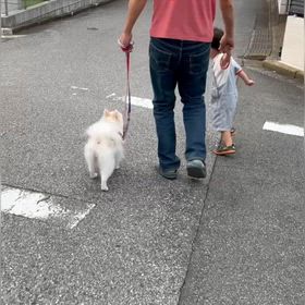 楽しくお散歩！の画像