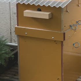 地蜂愛好会　の画像