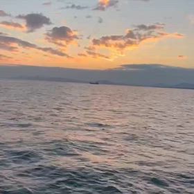 潮のせいにしときましょ。の画像