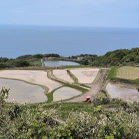 日本棚田百選の画像