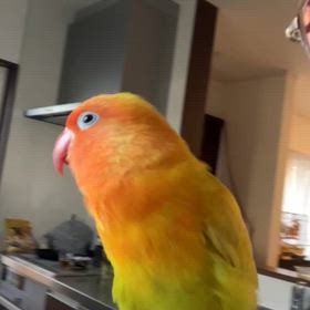 むぅちゃんの画像