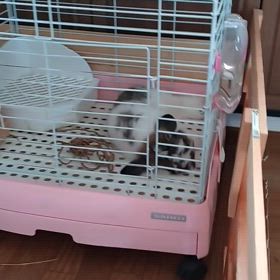 母の延命治療が始まりました〜の画像