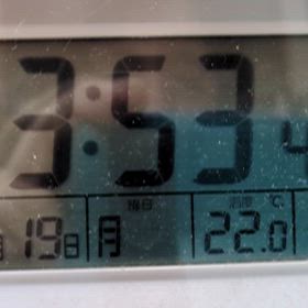 1/19 FM Bettyの画像