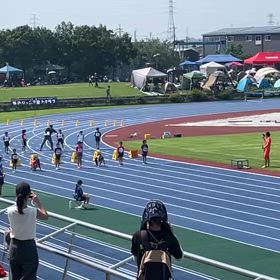女子80m予選①の画像