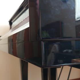 【手の小さい英ポロ凡人主婦】「③この難所がぁぁ練習動画」の画像