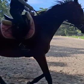 輪乗り駈け走の画像