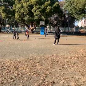 基本動作(ボール投げの場)②の画像