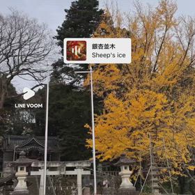 げんきくらぶはせだ会の画像