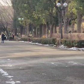 リレー選考会（男子）ゴール付近⑦の画像