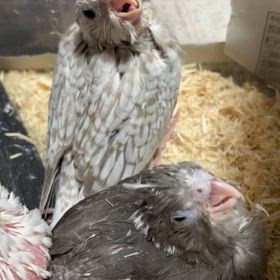 勘違い？？の画像