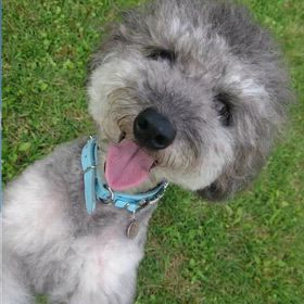 ”totoくん♡またね♡”の画像