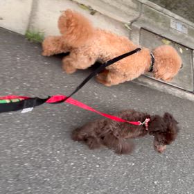 嬉しい変化の画像