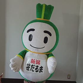 9/28の画像