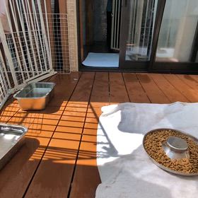 三連休とご見学とピンクちゃんの画像