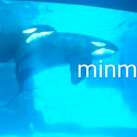 はて…いとこ同士とは？の画像