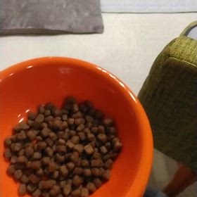 回る回る（笑)の画像