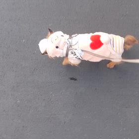 16歳になりましたの画像