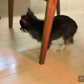 撮影モードではありますが。の画像