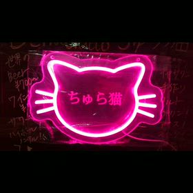 看板新しくしました‼️11月22日ちゅら猫マルシェ‼️キャサリン誕生祭‼️クリスマス聖歌隊‼️の画像