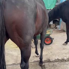 みどりの窓口問題の画像