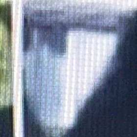 玄関開けたら　ストーカー活動開始　Σ('◉⌓◉’)の画像