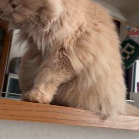 通常勤務に戻っての画像