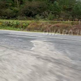 2024年10月23日（水）のおわらサーキットの画像