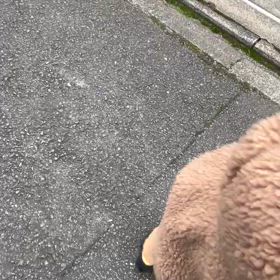 ⭐じいちゃんち❗の画像