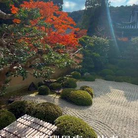 京都 酬恩庵一休寺 日本庭園の風景リール動画の画像