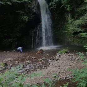 レックス、シェリとの思い出6年前の画像