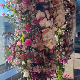 風邪の時代を軽やかにの画像