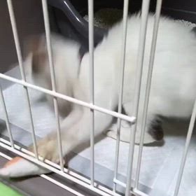 実家の元太(*^^*)♪の画像