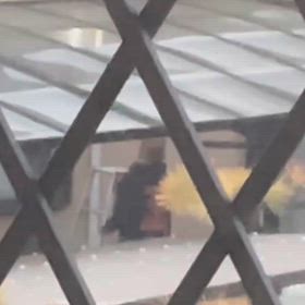 センサーライト付け替えの画像