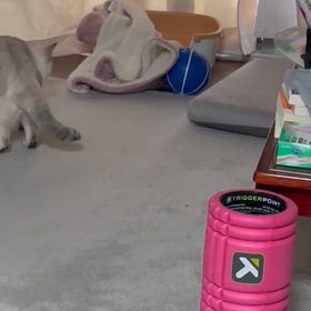 内科の定期検診の画像