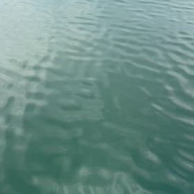 久しぶりの興奮！！の画像