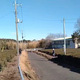 東金子駅伝（坂ダッシュ）⑲の画像