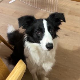 あご、鼻！の画像