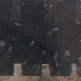 ハイブリッドエンゼル  人工孵化  9日目の画像