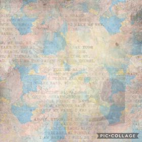 DOGXDOG そらくんの画像