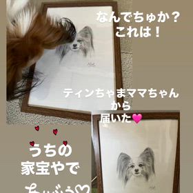 日常の生活の画像