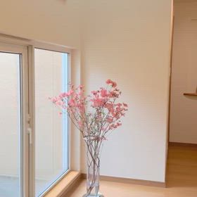 【5月】受付開始いたしますの画像